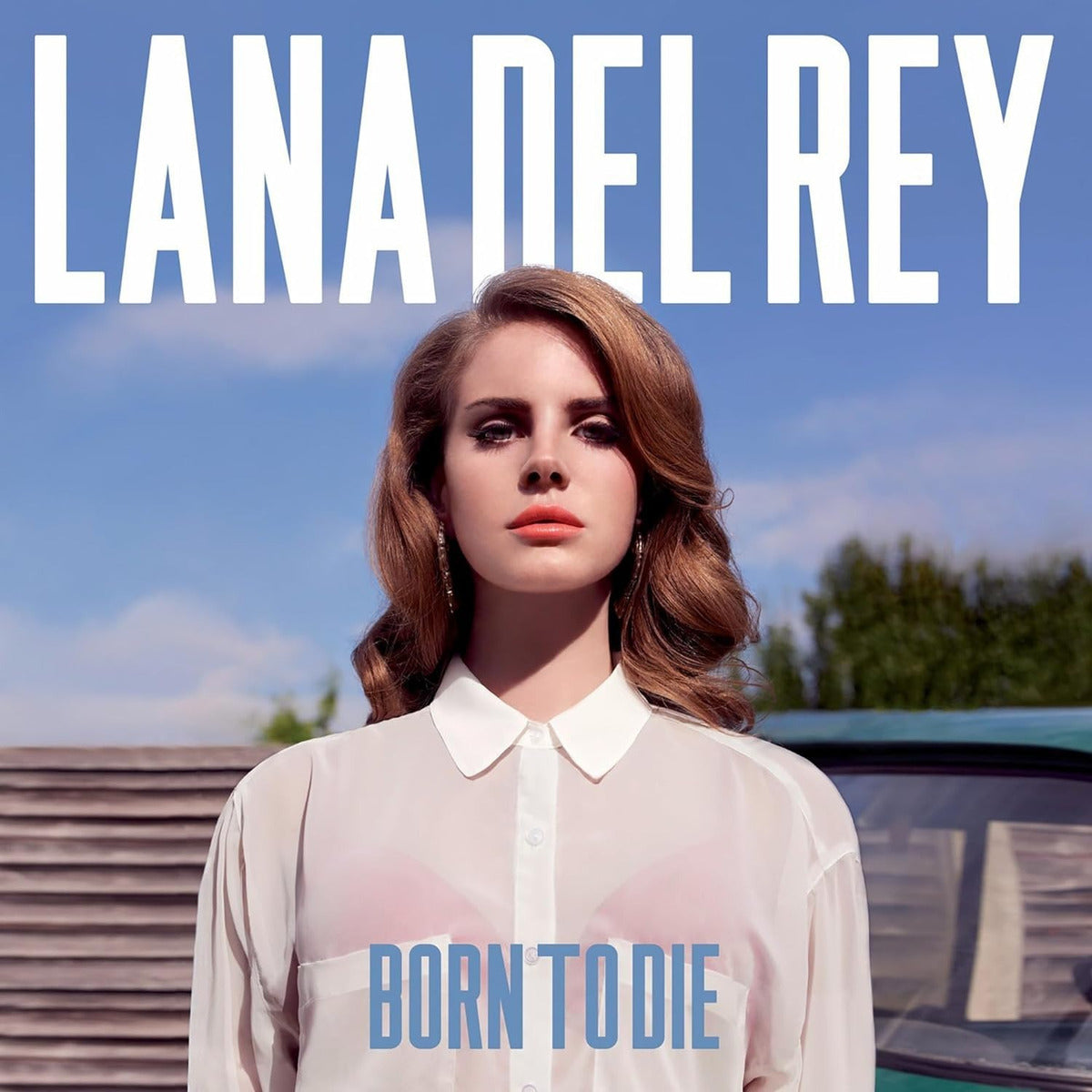 Born To Die - Lana Del Rey - Lp Vinyl