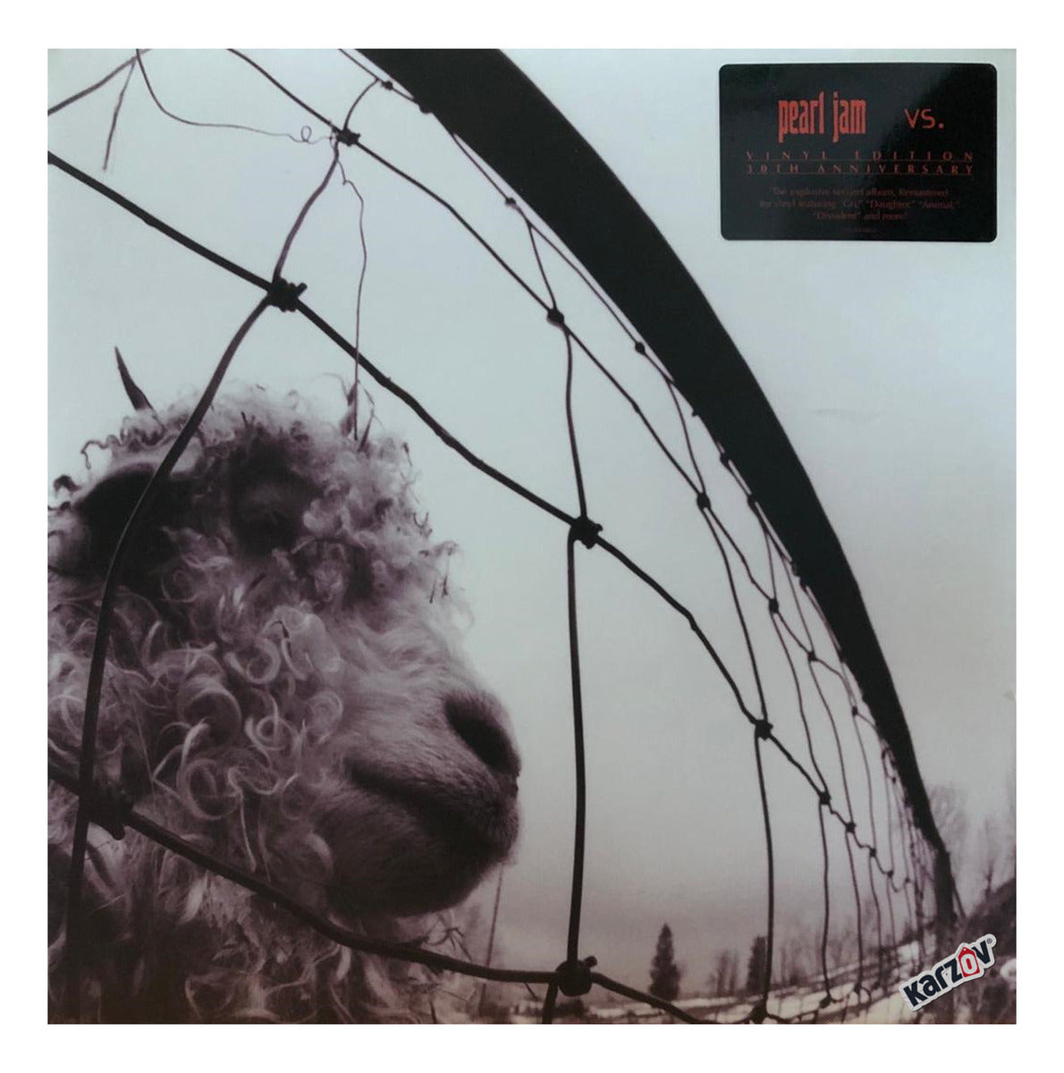 Pearl Jam Vs 30 Aniversario Doble Funda 2 Lp 45 Rpm Vinyl