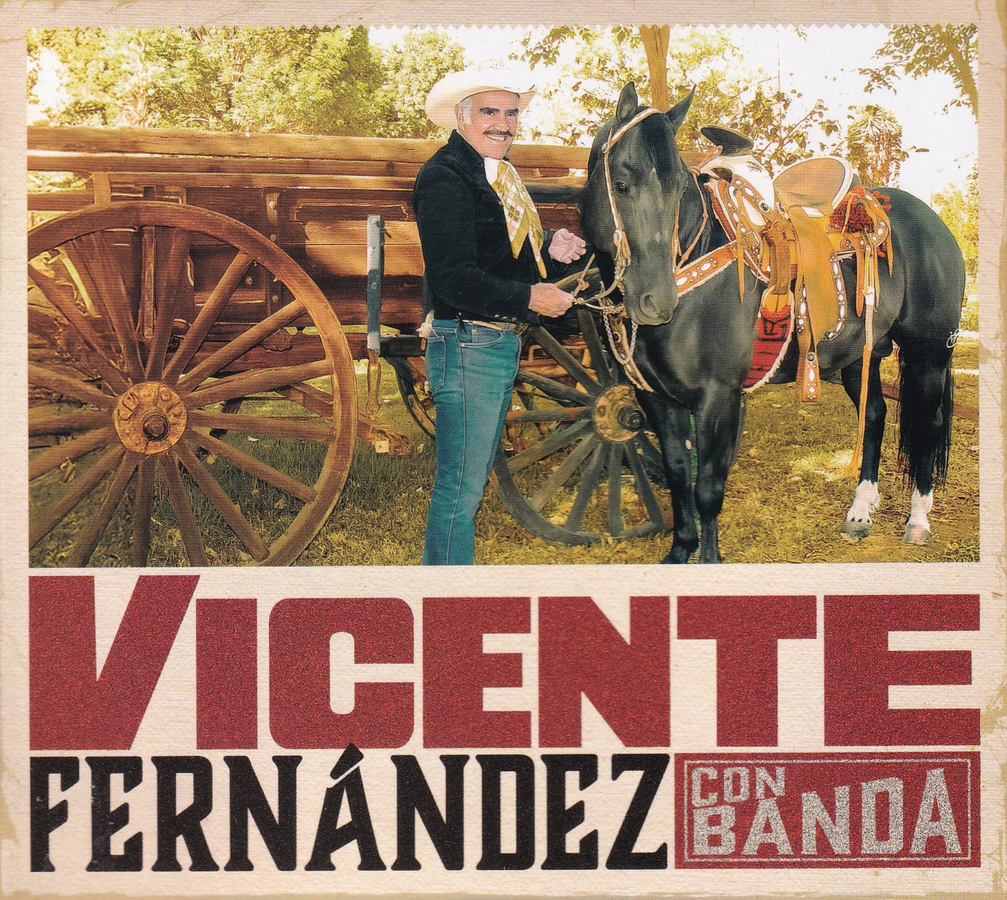 Vicente Fernandez Con Banda Disco Cd